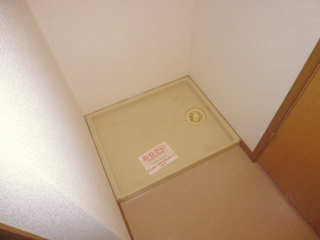 Ｃｒｅｓｔａｌｌ　ブルーベリーのその他|洗濯機置き場