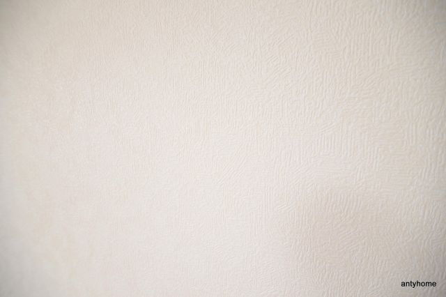 ノルデンタワー天神橋アネックス　仲介手数料無料の内装