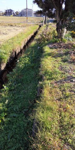 ５５９７９　羽島市正木町新井土地の外観