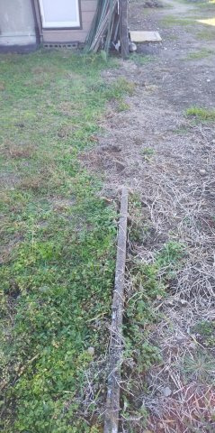 ５５９７９　羽島市正木町新井土地の外観