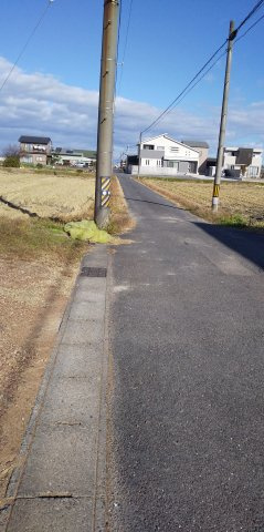 ５５９７９　羽島市正木町新井土地の前面道路含む現地写真