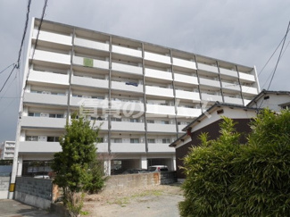 【外観】 | Ｖｅｎｔｏ　ｄｅｌｌａ　ｆｏｒｅｓｔａの外観