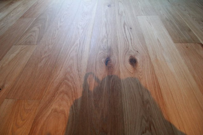 【その他】 | マイキャッスル多摩川