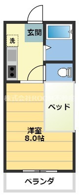 ノースルピナスの間取り