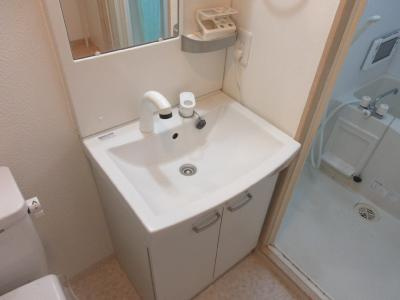 フラッティ壬生坊城の洗面所|シャンプードレッサー