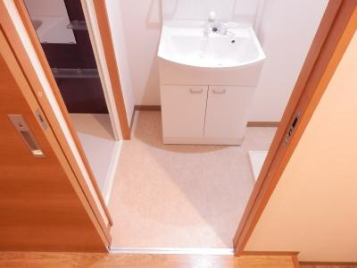 GREEN　FOREST丹波口（グリーンフォレスト丹波口）の洗面所