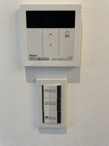 口田中Ⅲ　カサネ