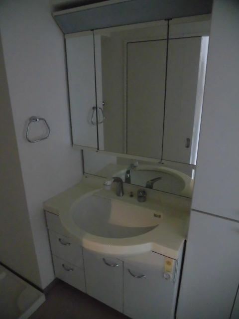大阪市中央区材木町の賃貸マンションの洗面所