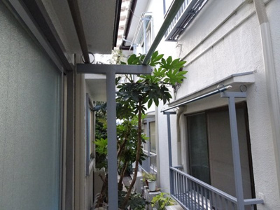 【展望】 | メゾン楡 | メゾン楡