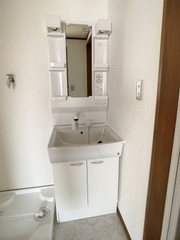 メゾンロイヤルBの独立洗面台