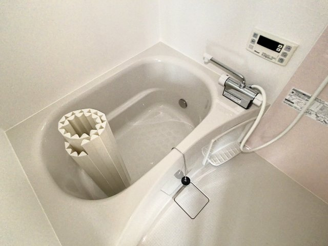 メゾンロイヤルBの浴室