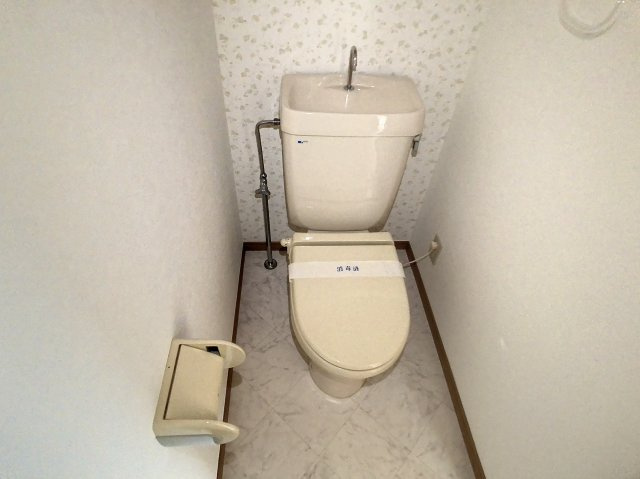 メゾンロイヤルBのトイレ