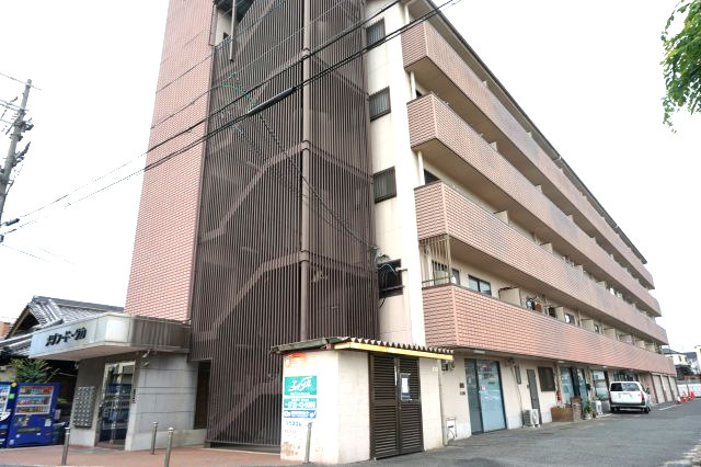 和泉市箕形町４丁目の賃貸マンションの外観|外観もきれいです