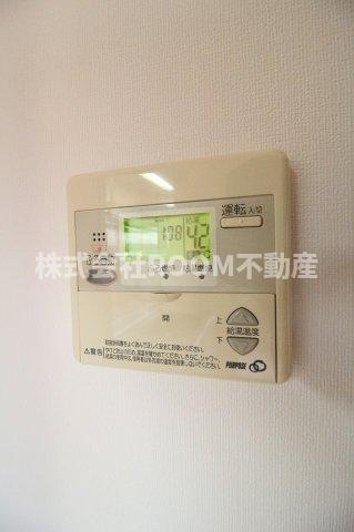 Y&Mデイジーの展望