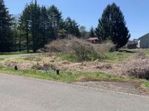 滝沢市大釜鬼が滝・売地の画像