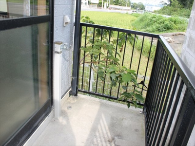 【バルコニー】 | 日高マンションⅡ | バルコニー
