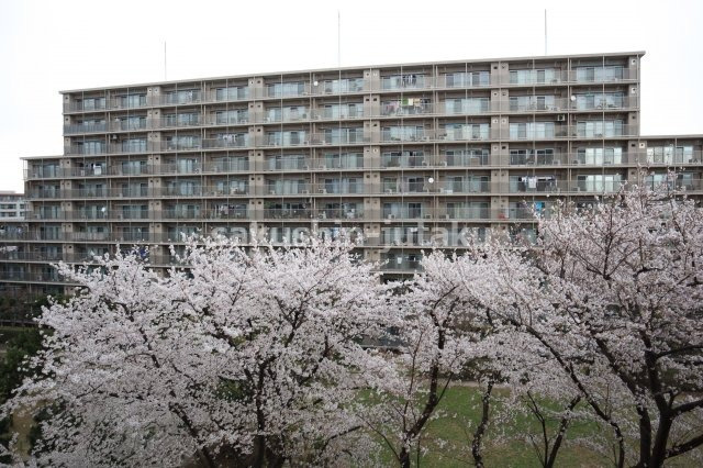 津田沼アカシアハイツ