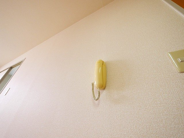 アネックスグリーンガーデンのセキュリティ|使い易いインターホンです。