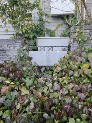 【庭】 | コーポ・ＦＫ・