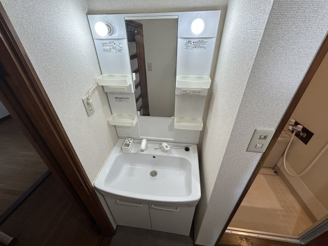 ロイヤルメゾン富士の洗面所