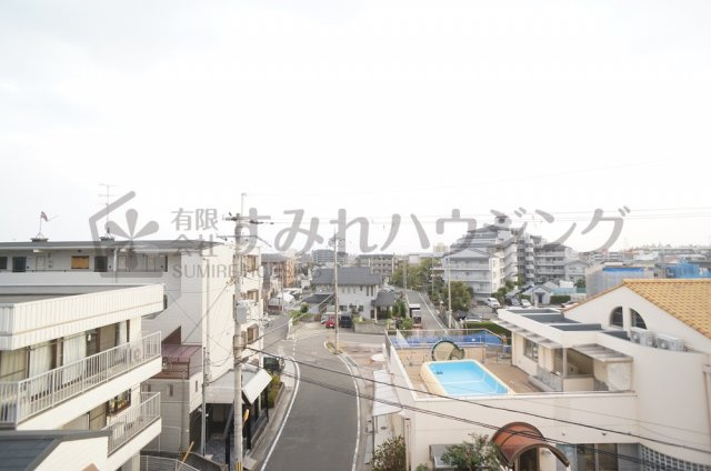 プエオテラスの展望