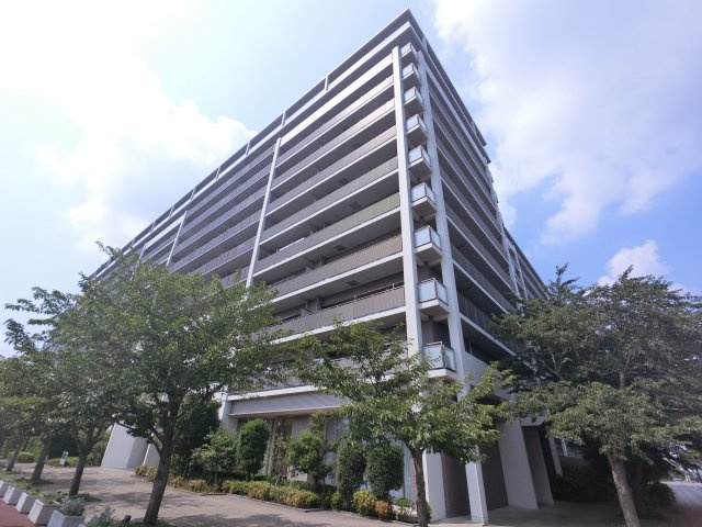 エストリオいには野の画像