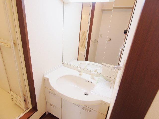 ディアスT4の洗面所