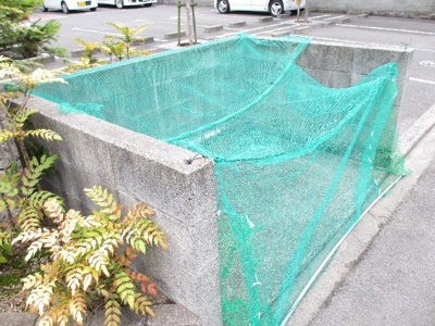 【外観】 | Pomme de Pin　A棟