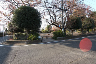 【前面道路含む現地写真】