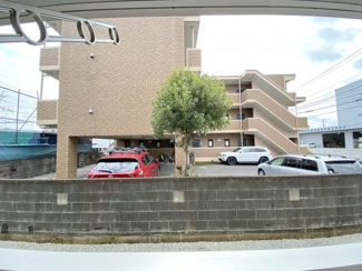 【展望】 | Lotus