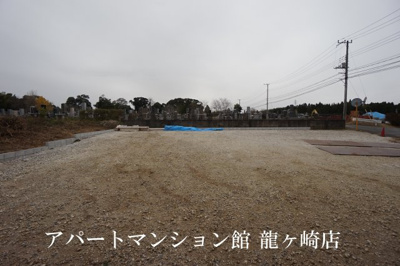 【展望】 | Pear Leaf