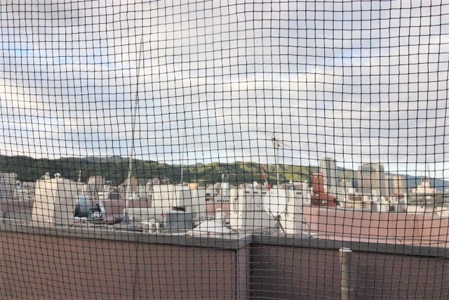 ネオアージュ神戸元町の展望