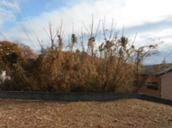 高崎市寺尾町　売地の画像