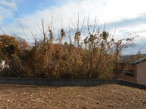 高崎市寺尾町　売地の画像