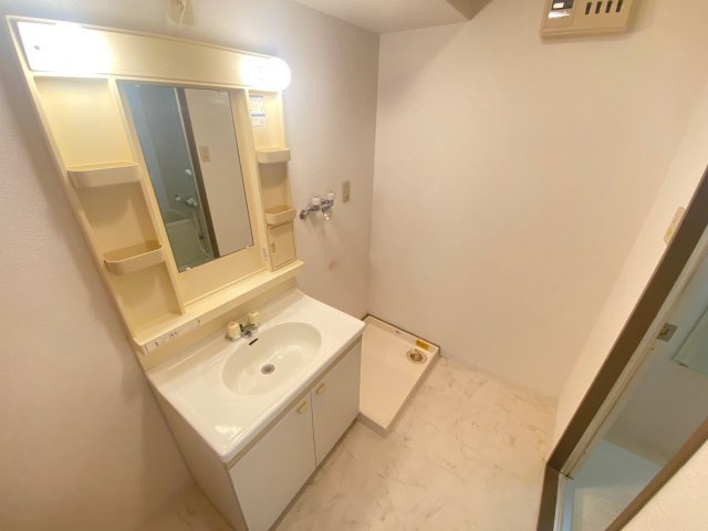 エスポアール岩根の洗面所