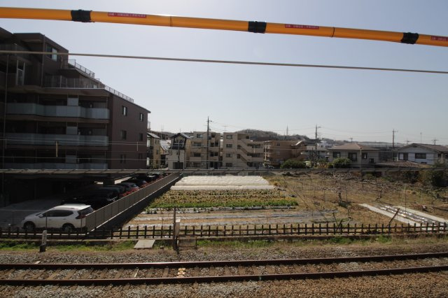 コンソラータの展望