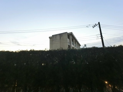 【展望】 | 川崎多摩川ファインフィールズA棟 | １階部分からの眺望です。