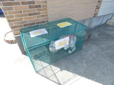 【その他共用部分】 | サニーハイツ南川町