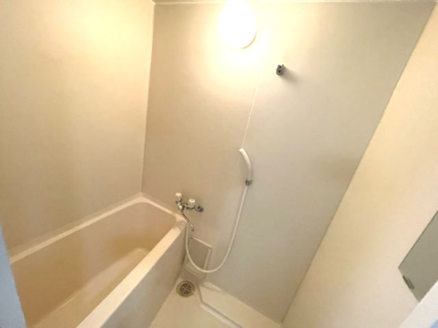 カーサエスぺランサⅡの浴室