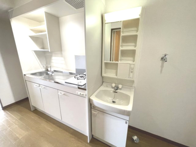 カーサエスぺランサⅡの洗面所