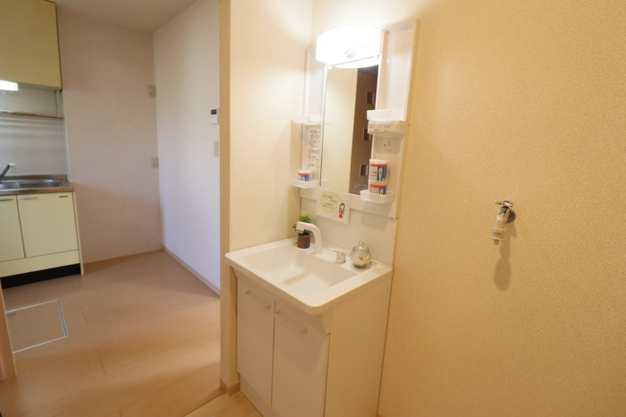 ラ・グラシューズⅠの独立洗面台