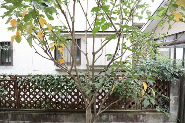 エスポアール中神の展望