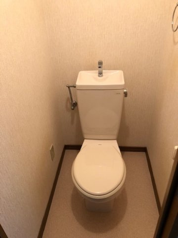 サウスビュウハイツのトイレ