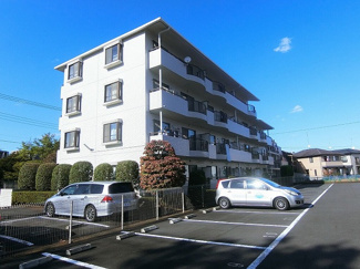【駐車場】 | いつでも目の届く敷地内に駐車場があります♪荷物がかさばりがちなお買物にも、敷地内駐車場があると便利ですよね☆