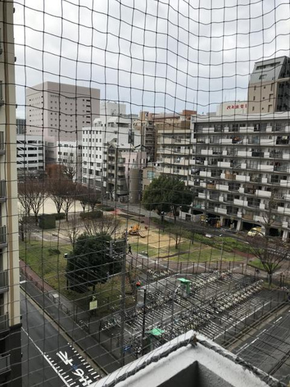 【展望】 | エステート・モア・博多公園通り | 公園が見えます♪