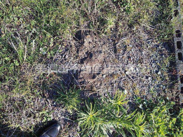 ５６０１９　岐阜市江添土地のその他