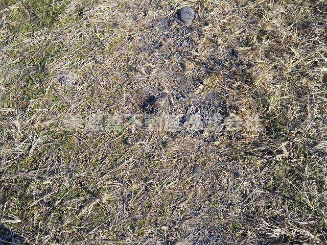 ５６０１９　岐阜市江添土地のその他