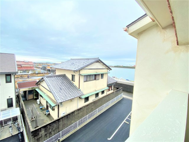 ANSERの展望