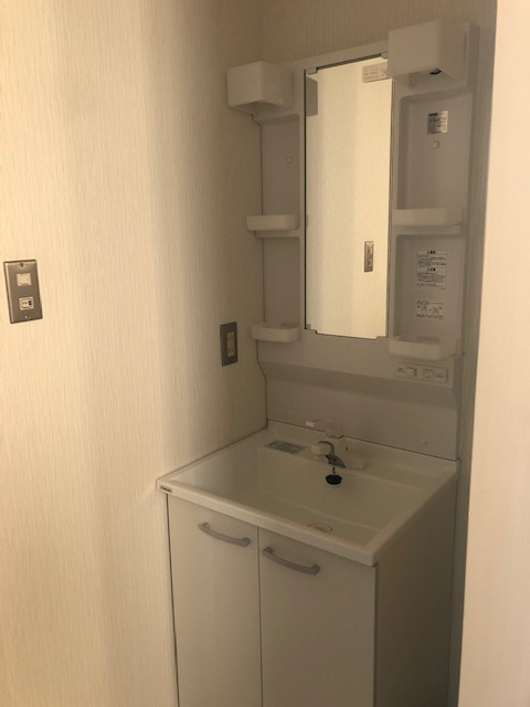 ヤマダビルの独立洗面台