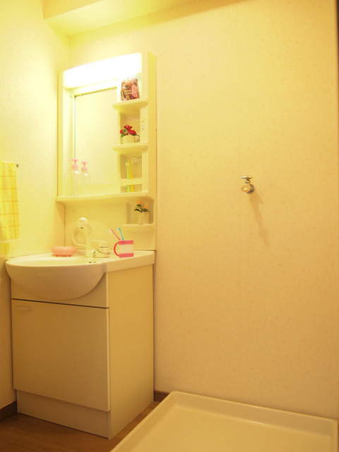 インポート久留米ルビーⅡ【10,000円キャッシュバック対象物件】の洗面所|使いやすい洗面所です